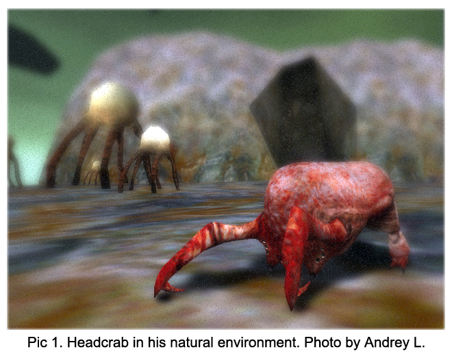 headcrab_photo_eng.jpg